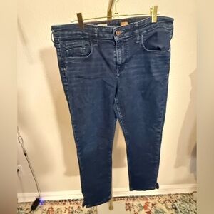 Pilcro and the Letterpress cropped denim jeans